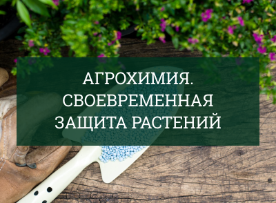Агрохимия Агрохимия