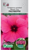 Катарантус розовый/Винка/Тату Распберри (5шт)  Катарантус розовый/Винка/Тату Распберри (5шт)