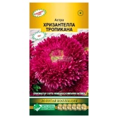 Астра хризантелла Тропикана (5шт)  Астра хризантелла Тропикана (5шт)