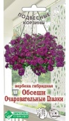 Вербена Обсешн Очаровательные Глазки (5шт)  Вербена Обсешн Очаровательные Глазки (5шт)