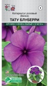Катарантус розовый/Винка/Тату Блуберри (5шт)  Катарантус розовый/Винка/Тату Блуберри (5шт)